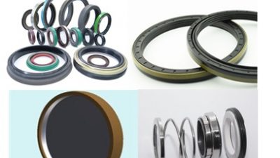 13) Seol Rings